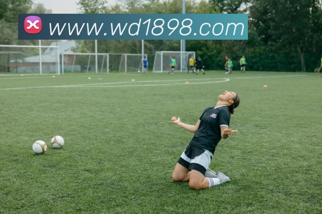 伟德体育APP 高清赛事图